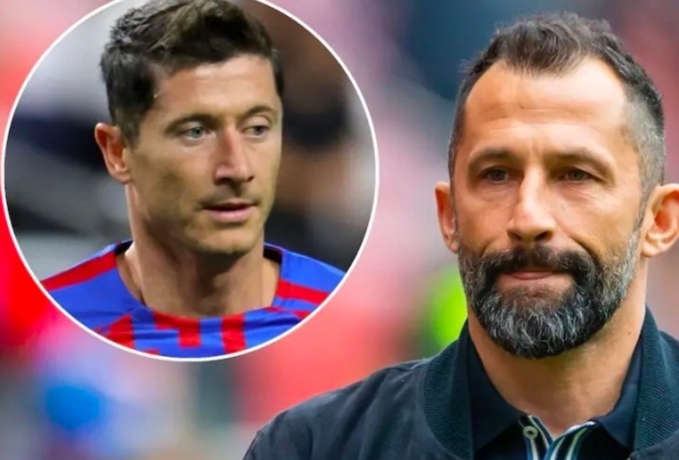 质等多个维 质等多个维